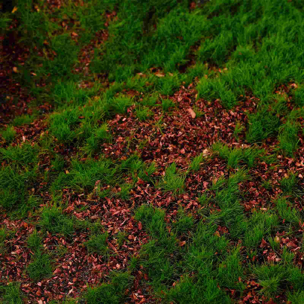 False Moss Simulated Lawn Area Rugs Green Balls Decor Panel Artificial Garden Grass Plastic Simulation Turf