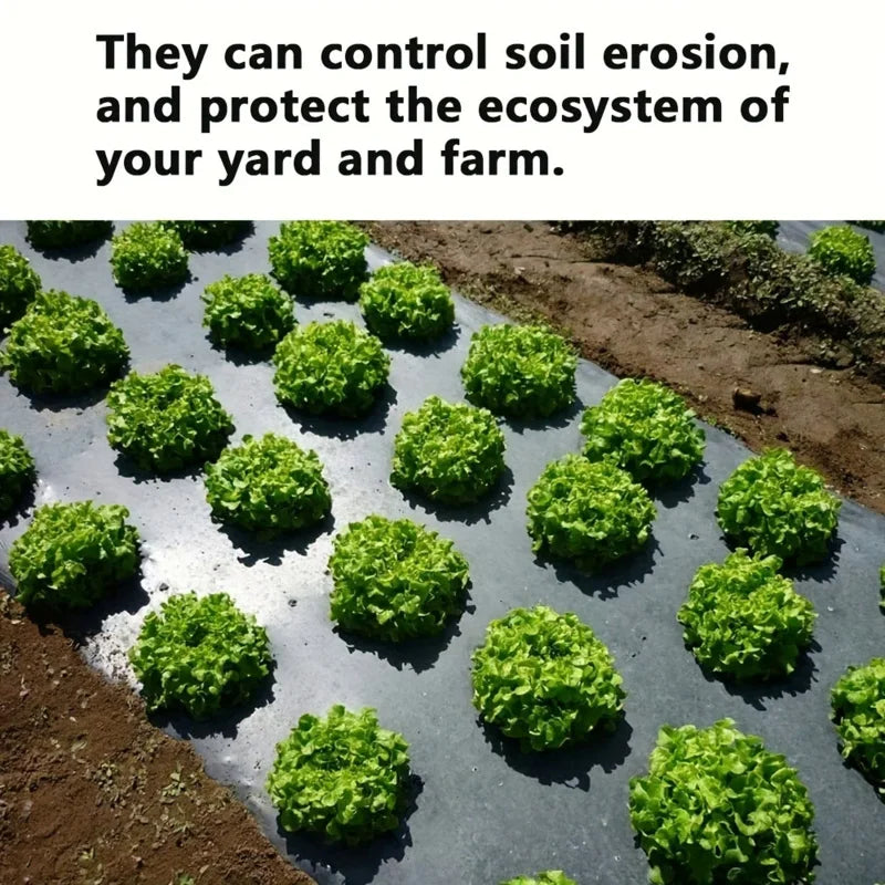 Vegetables weed fabric Our High-Quality Black Plastic Mulch Film - Perfect for Greenhouses and Plant Protection!