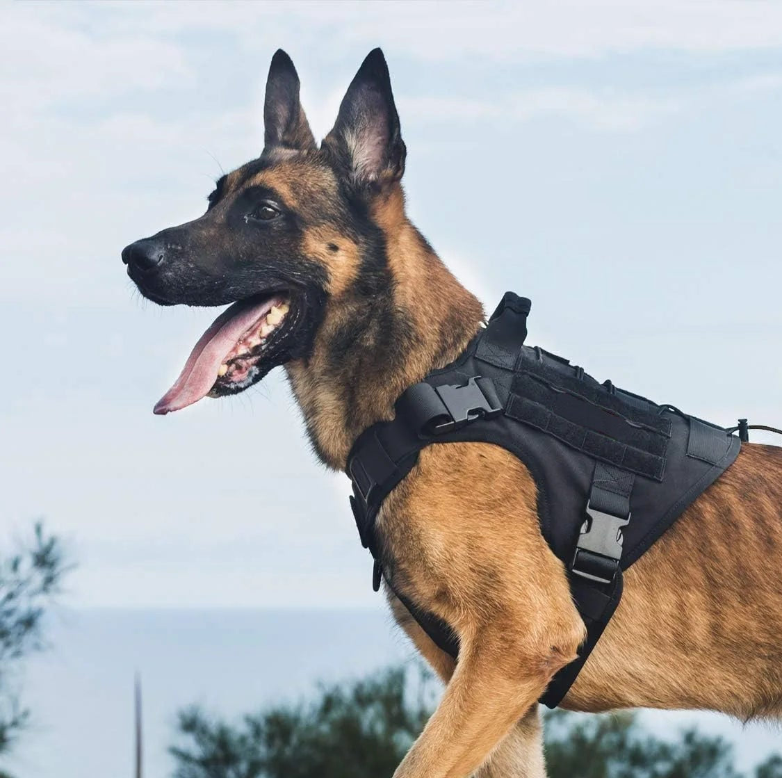 Dog Harness,Tactical Dog Harness with Handle,No-Pull Service Dog Vest with Hook & Loop Panels,Adjustable Dog Vest Harness for Wa