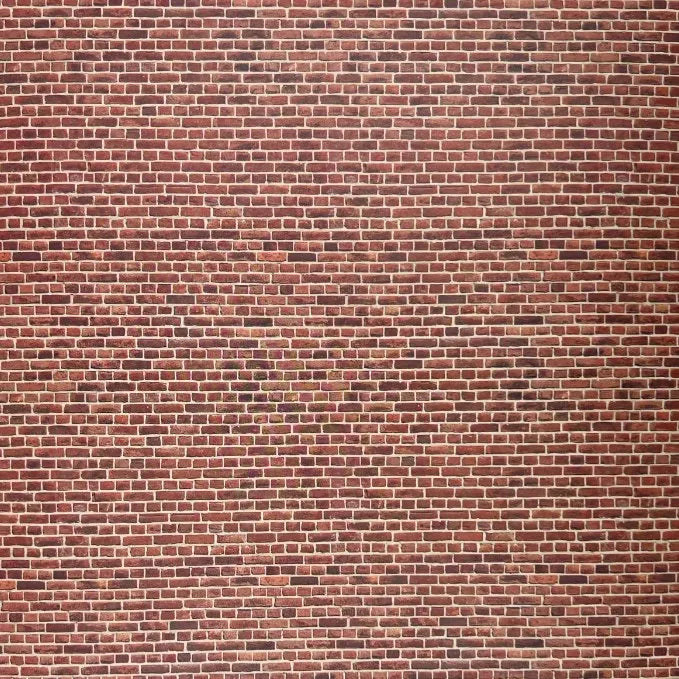 124049875-1